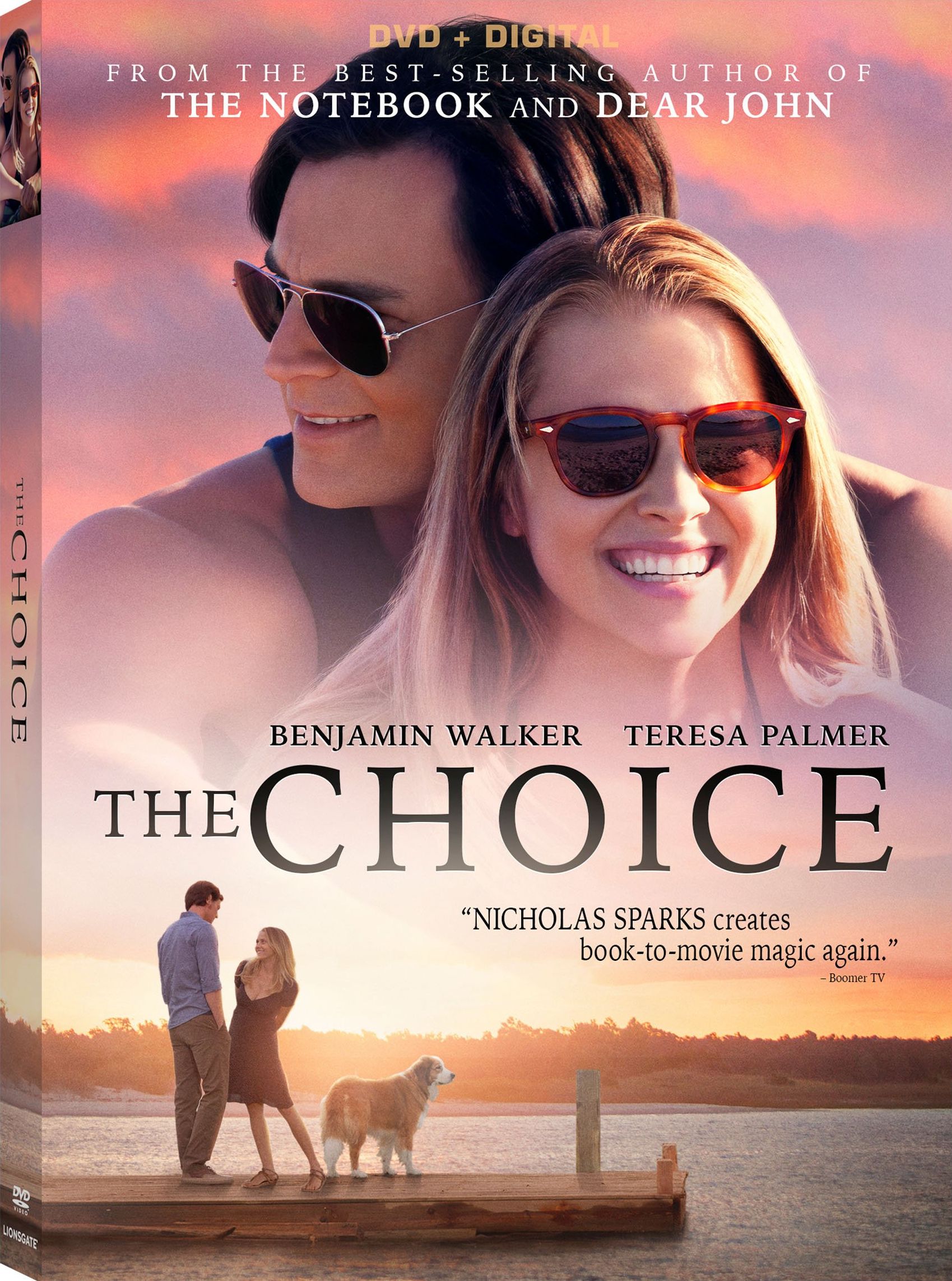 The Choice [1991 TV Movie]