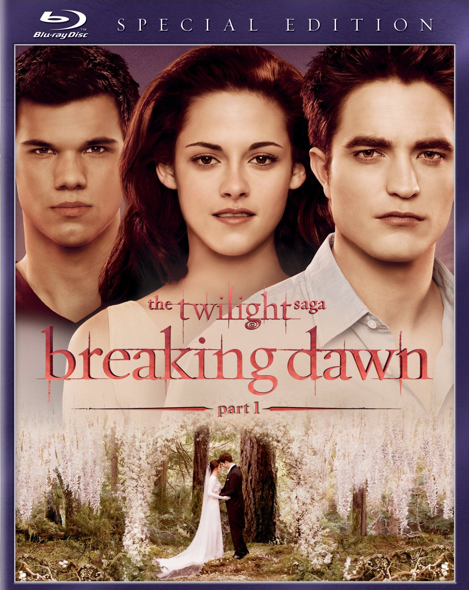 the-twilight-saga-breaking-dawn,-part-i-blu-ray-cover-55.jpg