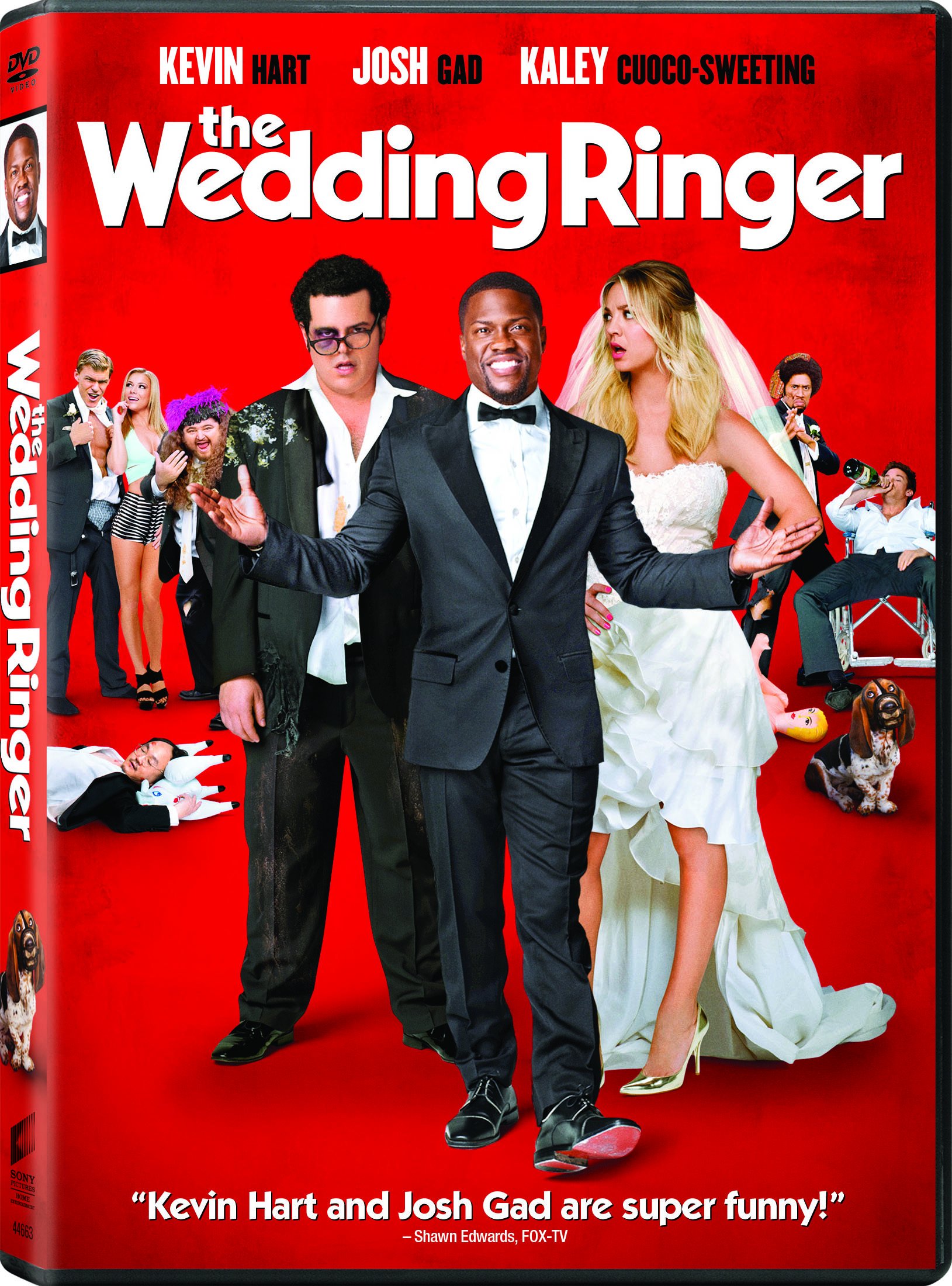 when is the wedding ringer on dvd