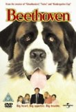 Beethoven DVD Release Date