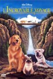 Homeward Bound: The Incredible Journey DVD Release Date