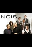 NCIS: Season 13 DVD Release Date
