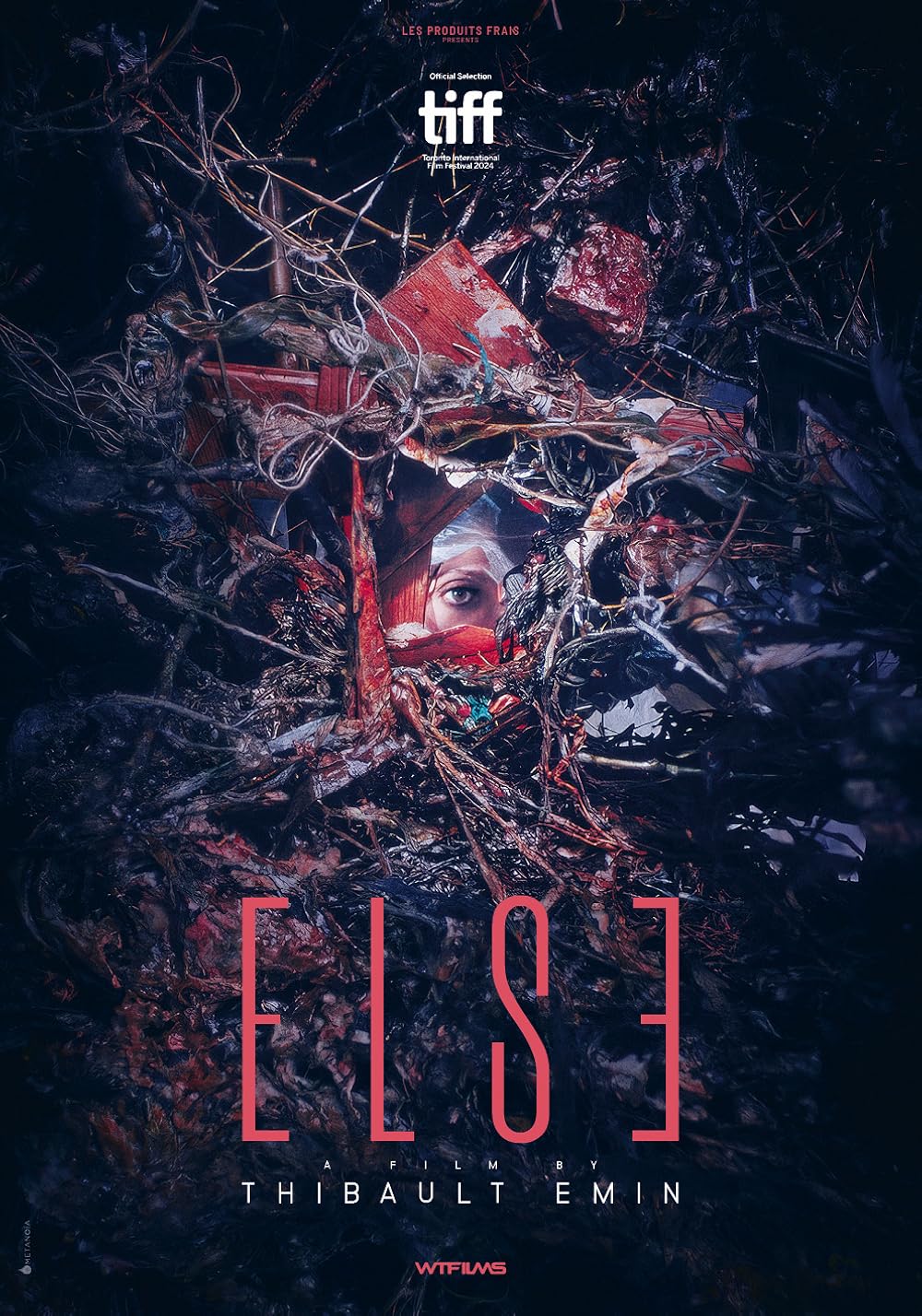 Else (2024) DVD Release Date