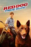 Red Dog: True Blue DVD Release Date