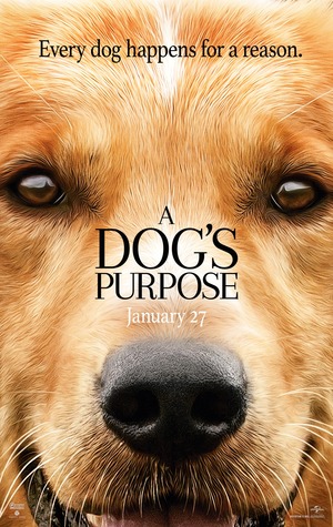 A Dog's Purpose (2017) DVD Release Date