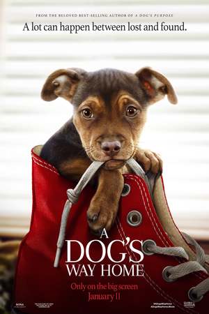 A Dog's Way Home (2019) DVD Release Date