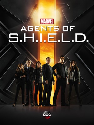 Agents of S.H.I.E.L.D. (TV Series 2013- ) DVD Release Date