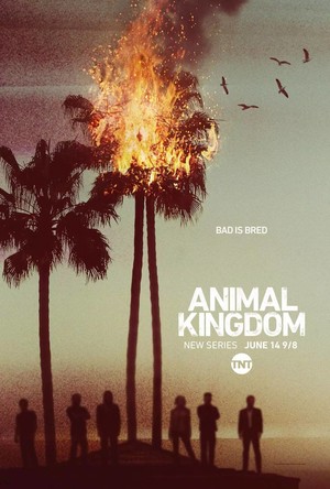 Animal Kingdom (TV Series 2016- ) DVD Release Date