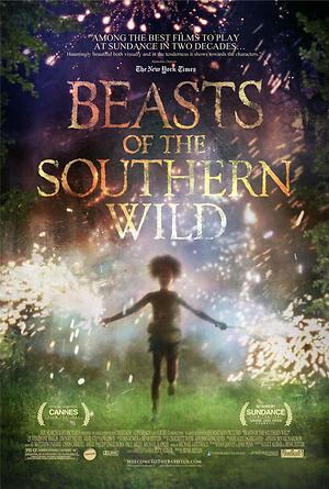 Beasts of the Southern Wild (2012) DVD Release Date