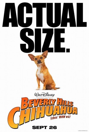 Beverly Hills Chihuahua 2 (2011) DVD Release Date