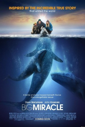 Big Miracle (2012) DVD Release Date
