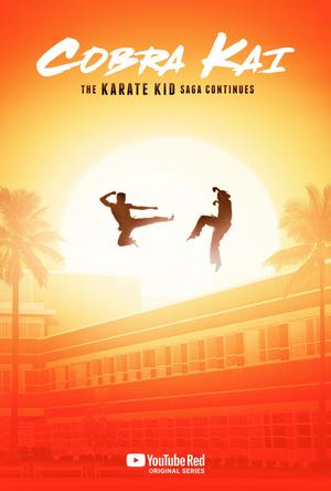 Cobra Kai (TV Series 2018- ) DVD Release Date