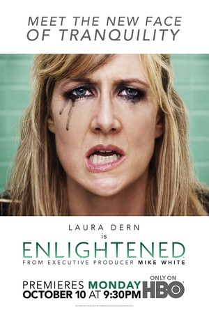 Enlightened (TV 2011-) DVD Release Date