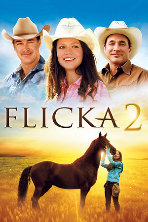 Flicka 2 (Video 2010) DVD Release Date