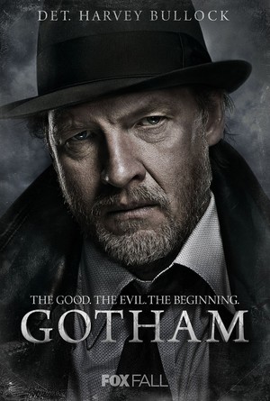 Gotham (TV Series 2014- ) DVD Release Date