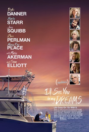I'll See You in My Dreams (2015) DVD Release Date