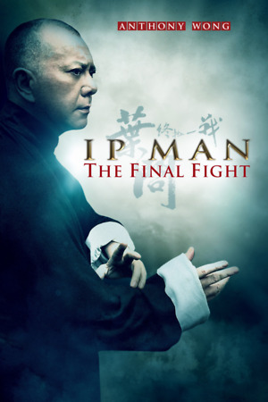 Ip Man: The Final Fight (2013) DVD Release Date