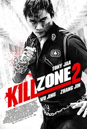Kill Zone 2 (2015) DVD Release Date