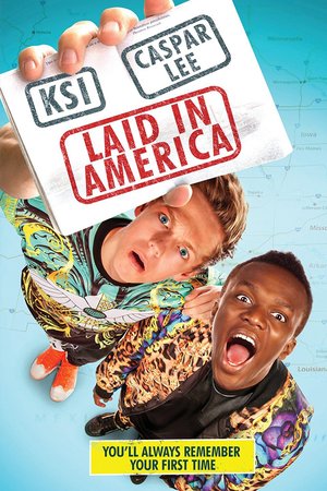 Laid in America (2016) DVD Release Date