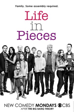 Life in Pieces (TV Series 2015- ) DVD Release Date