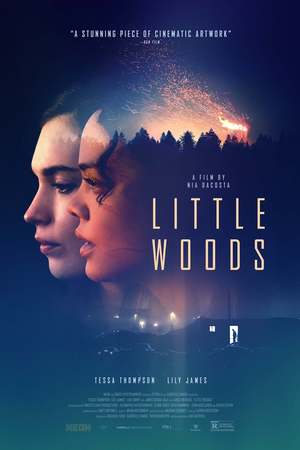 Little Woods (2018) DVD Release Date