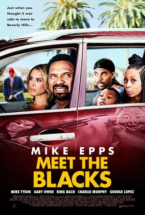 Meet the Blacks (2016) DVD Release Date