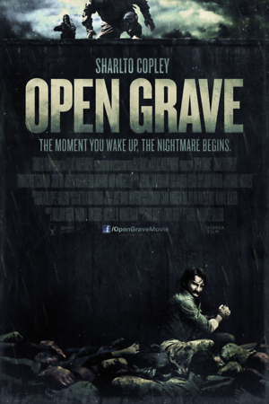 Open Grave (2013) DVD Release Date