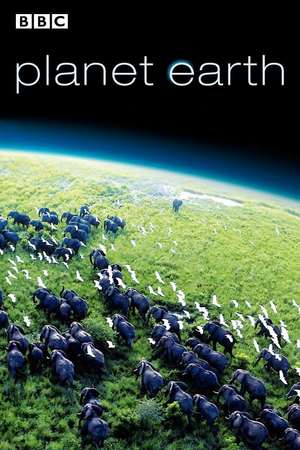 Planet Earth (TV Series 2006) DVD Release Date
