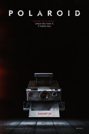 Polaroid (2019) DVD Release Date