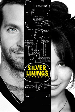 Silver Linings Playbook (2012) DVD Release Date