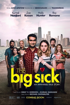 The Big Sick (2017) DVD Release Date