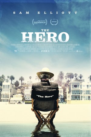 The Hero (2017) DVD Release Date