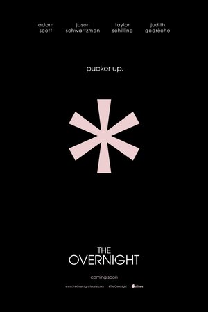 The Overnight (2015) DVD Release Date