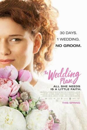 The Wedding Plan (2016) DVD Release Date