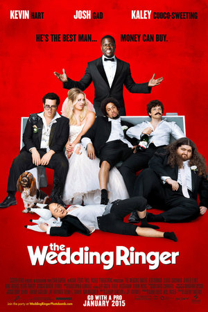 The Wedding Ringer (2015) DVD Release Date