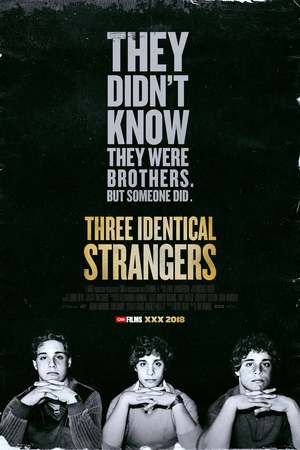 Three Identical Strangers (2018) DVD Release Date