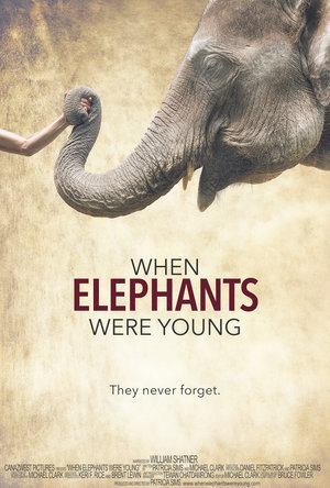 When Elephants Were Young (2016) DVD Release Date