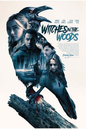 Witches in the Woods (2019) DVD Release Date
