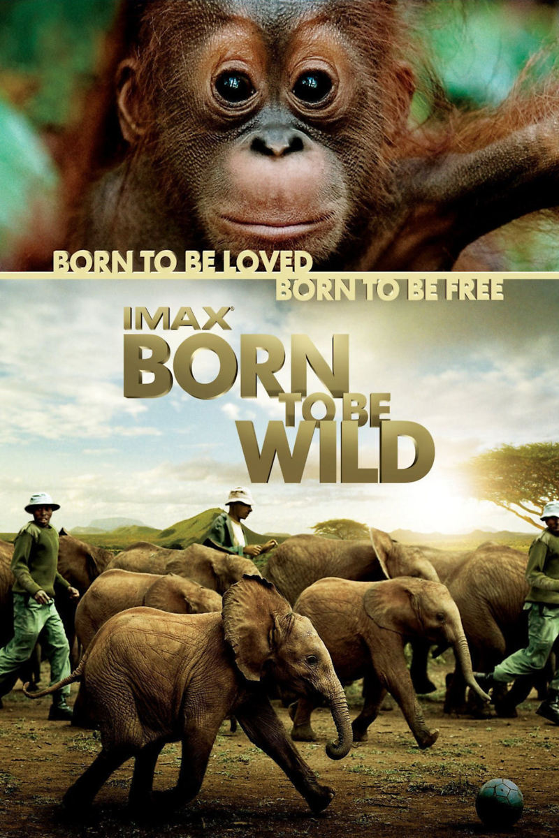 Born to Be Wild | 2011 | VOSE | MEGA