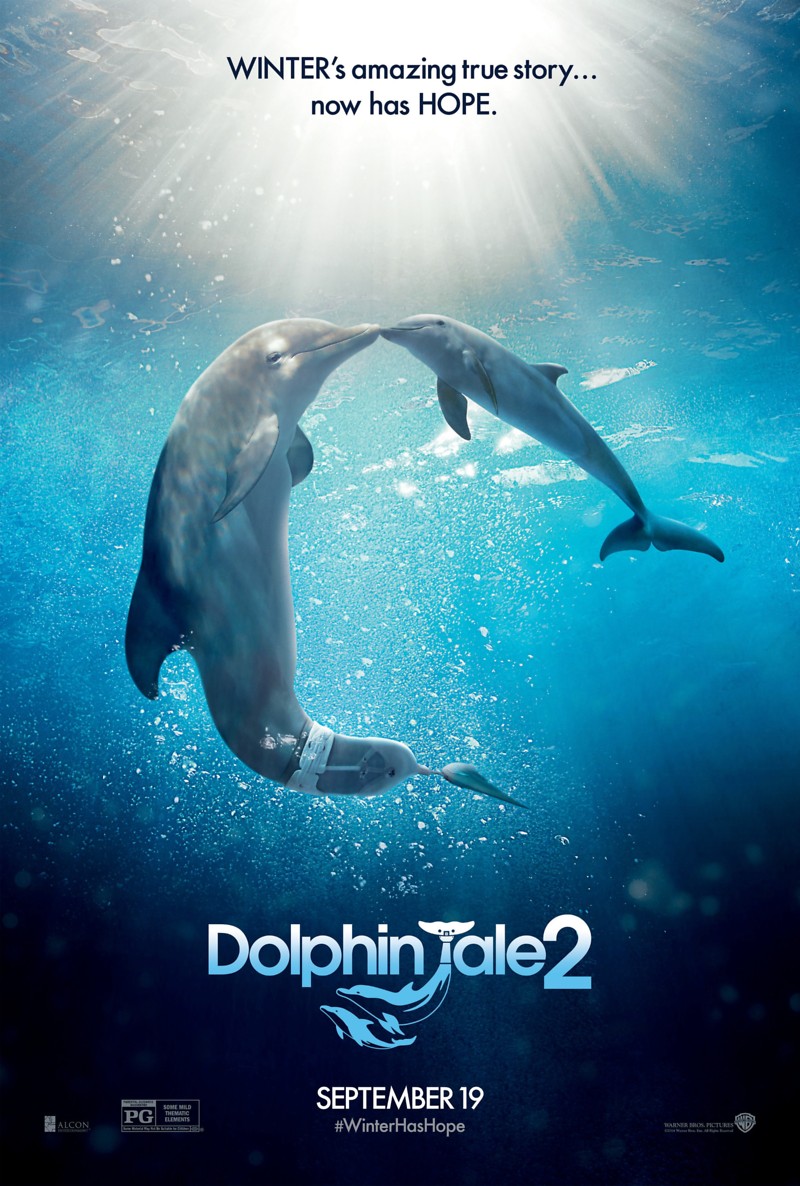 Dolphin Tale 2 Movie