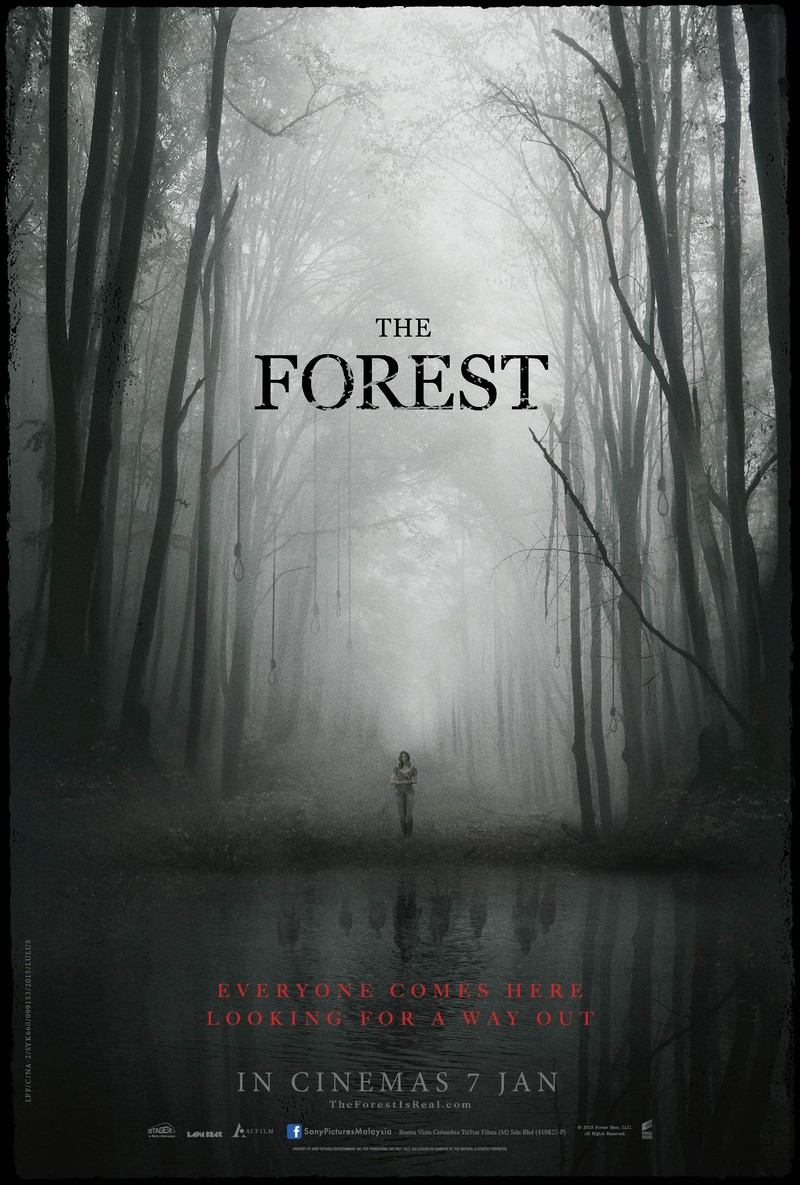 The forest 2016