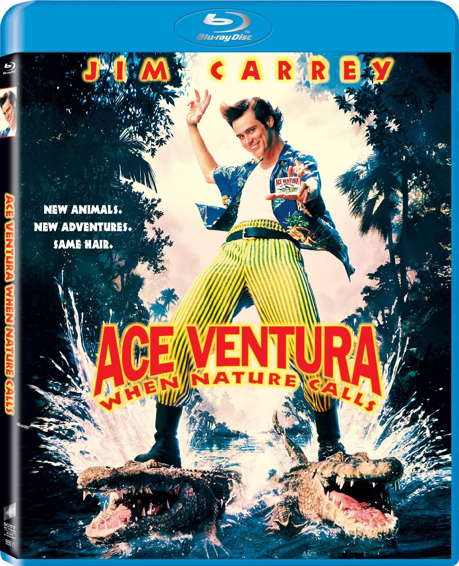 Ace Ventura: Nature Release Date