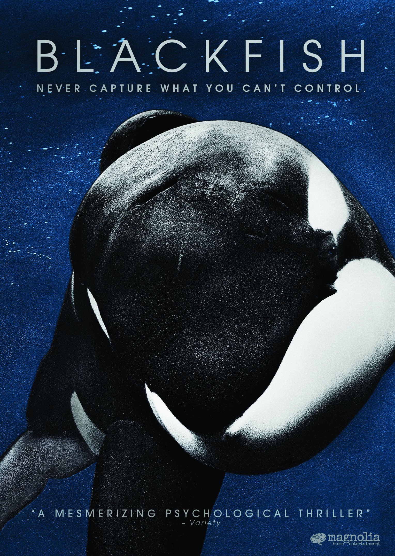 Blackfish DVD Release Date November 12, 2013