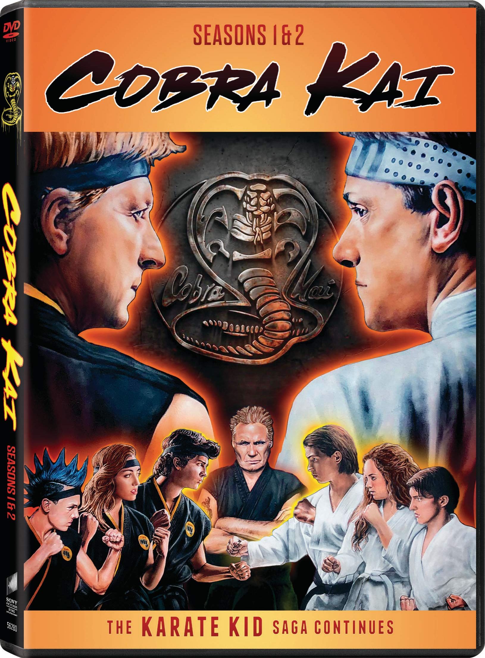 Cobra Kai Season 5 DVD Release Date & Special Features Revealed