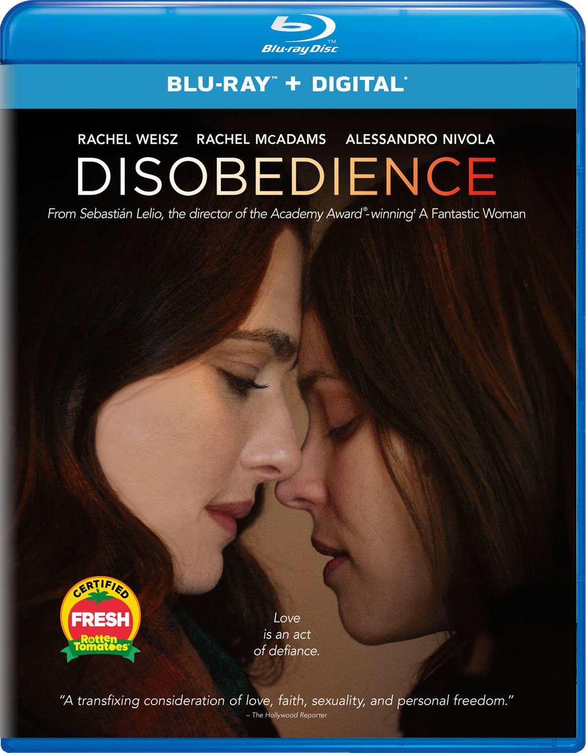 2017 Disobedience