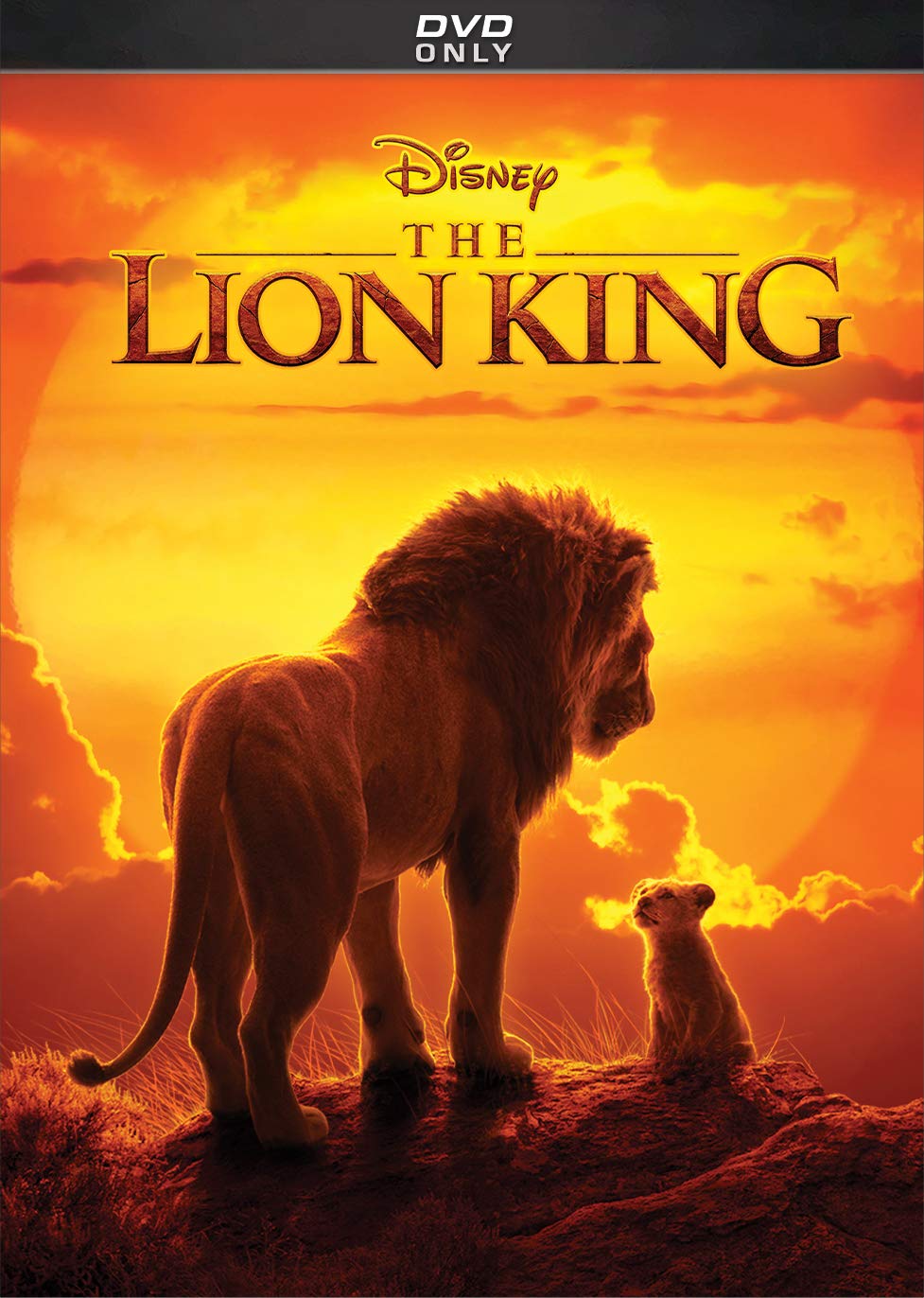 Lion deals king release