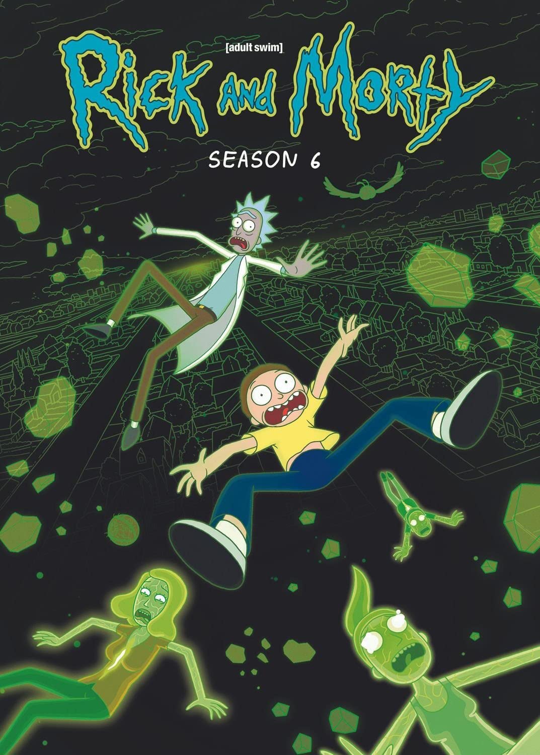 Rick and Morty DVD Release Date