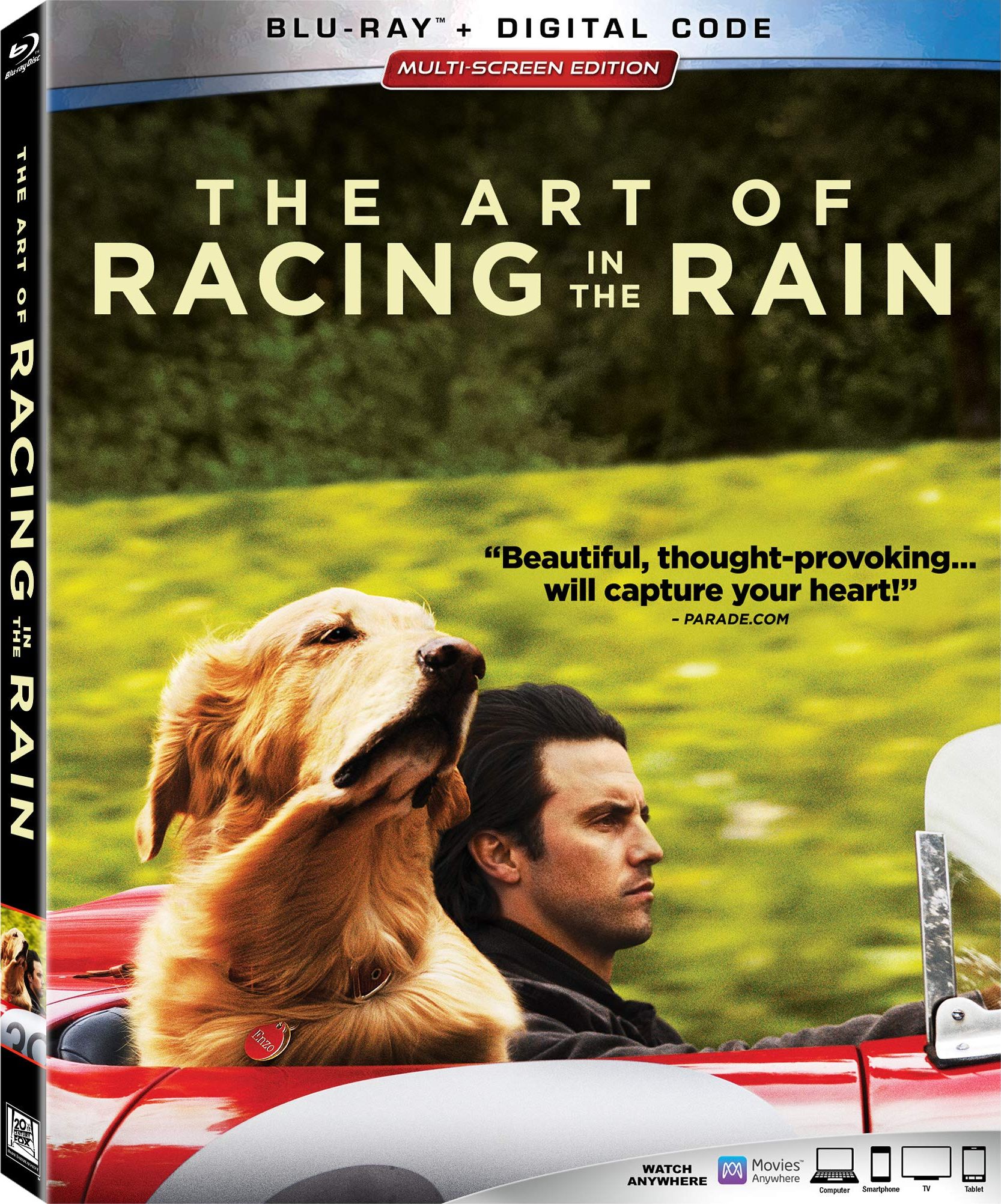 2019 The Art Of Racing In The Rain