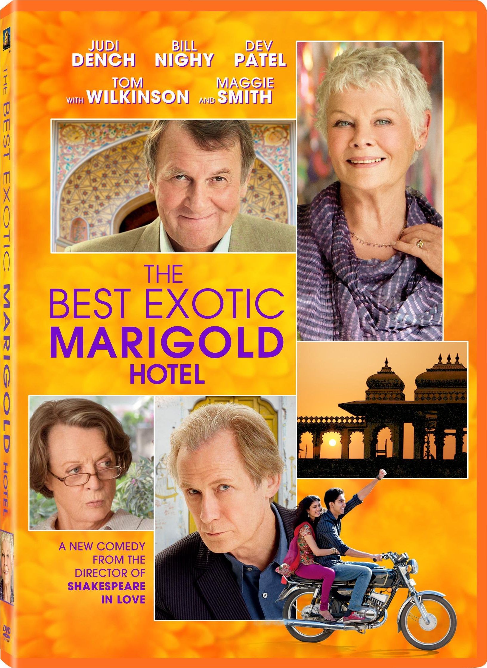 Best Exotic Marigold