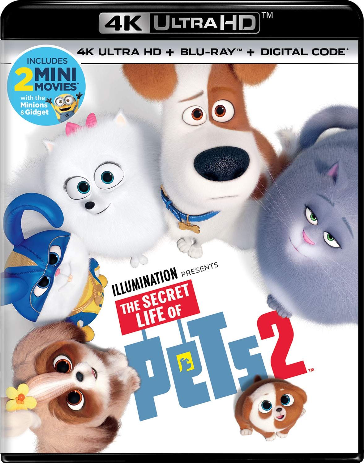 the secret life of pets 2 2019 dvd release date